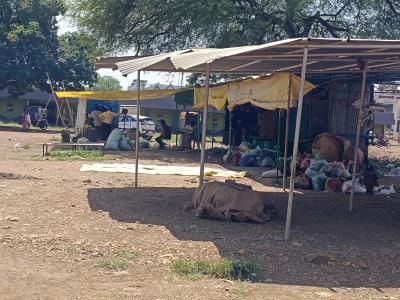 Whatsapp Image 2025 10 07 At 12.02.22 Pm